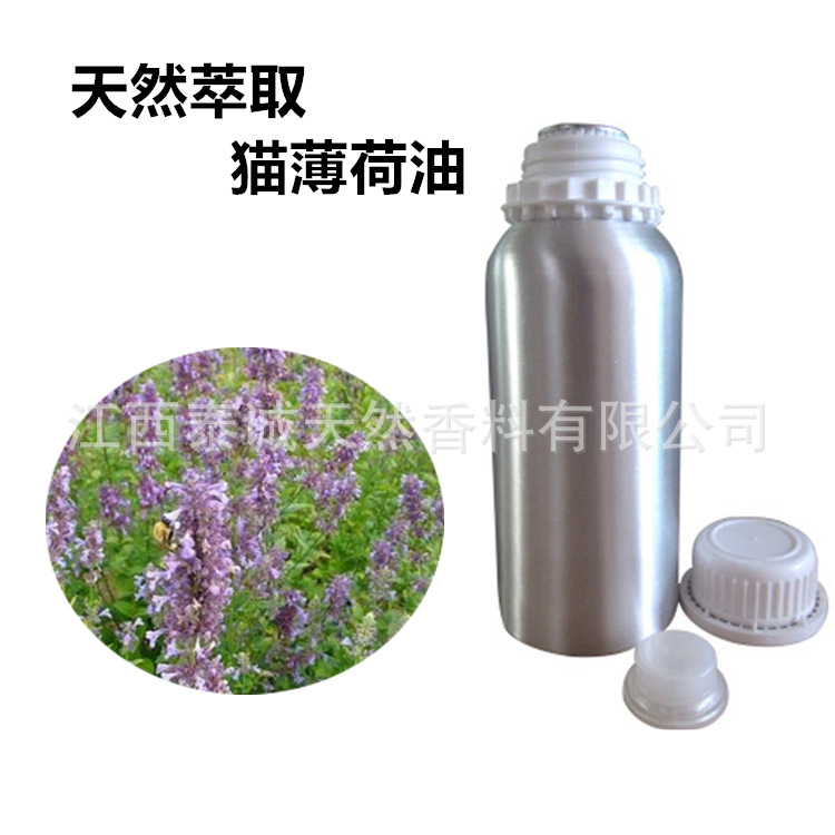供应猫薄荷油 猫薄荷草水蒸馏萃取所得 猫薄荷精油