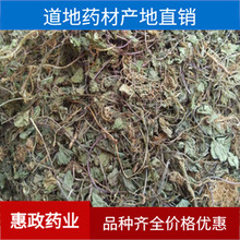 ������ș�� ����ѩ�eѩ�� ���R�ǝM����·߅������ľ·߅�G�u�ǲ�