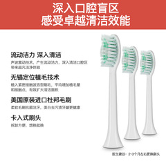 Wholesale replacement brush head for Western Electric Sonic Vibrating Toothbrush, DuPont Soft Bristle Toothbrush Head Compatible