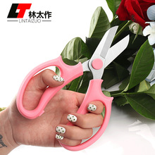 ��̫����ˇ���� ���P䓲�ɫ���@�� �����r����֦�� �@ˇ�廨����