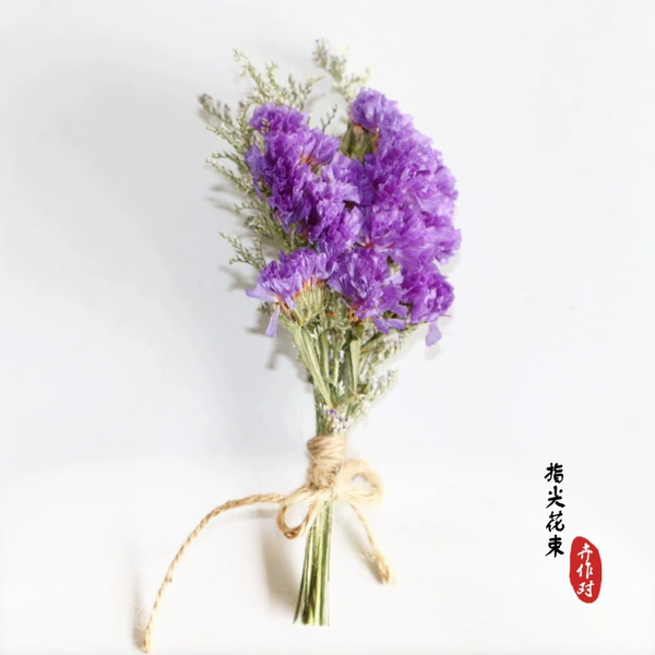 Forget me not purple