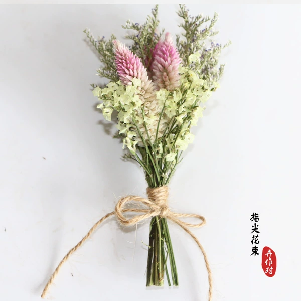 Poly -tail pink