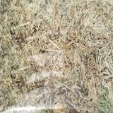 Оптовая цветочная почва в горшке и мясисто