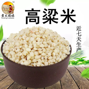 �r�aƷ��������؛480g �͜غ決������� �r��ÓƤ������