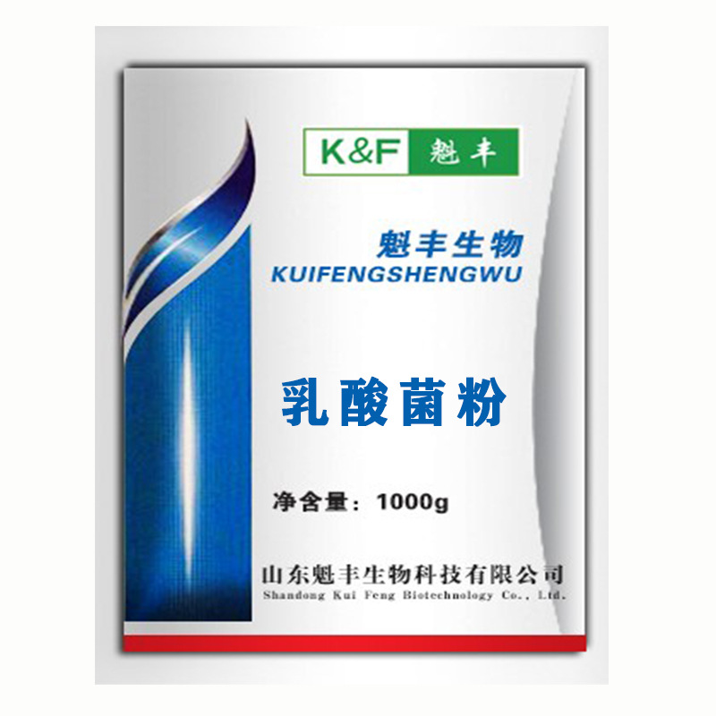 乳酸菌菌粉乳酸菌粉酵素菌粉粉嗜酸乳杆菌芽孢杆菌乳酸菌