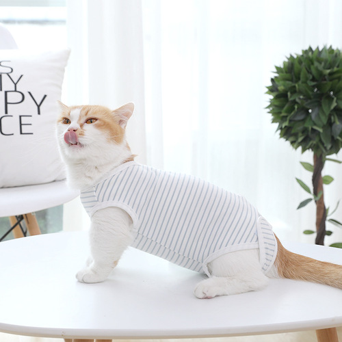 Amazon Cross-Border Cat Clothes Four Seasons Thin Weaning Anti-Licking Anti-Bite Breathable Nursing Clothes Postoperative Clothing