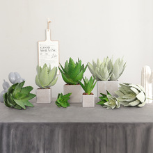 2019新款仿真植物eva多肉芦荟 家居装饰假花摆件植物墙插花芦荟