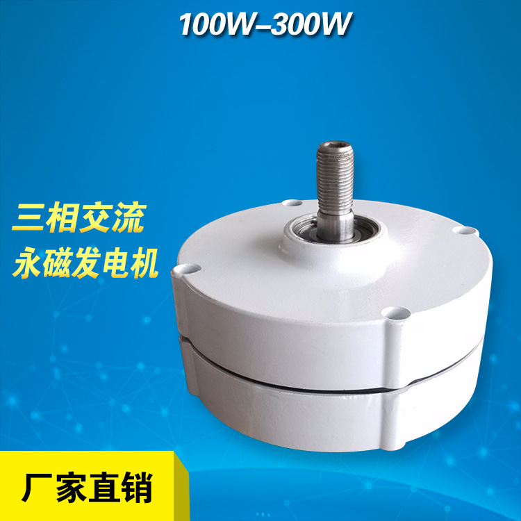 厂家直销100W200W12v24v三相交流永磁同步发电机DIY风力水力风力