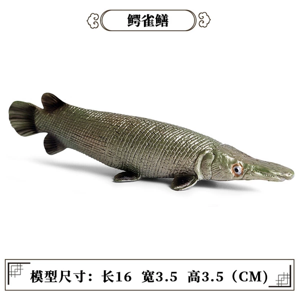 PL127-1151 Crocodile Trium