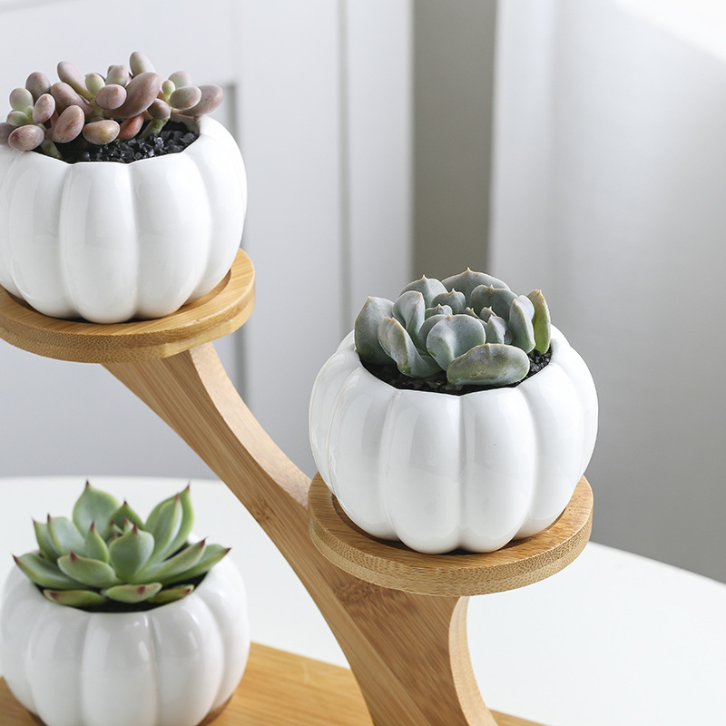 Maceta combinada de cerámica para suculentas, diseño calabaza pequeña con soporte de bambú – estilo Zakka.