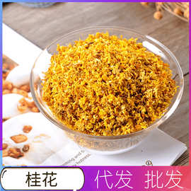 桂花 食用广西桂花茶金桂花粉人工筛选代用花茶一件代发桂花干