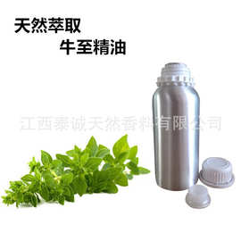 供应牛至油   牛至草水蒸馏萃取牛至精油 披萨草精油
