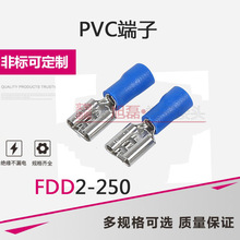 FDD2-250公母PVC预绝缘冷压接线端子蓝色6.3插簧250母端子 线鼻子