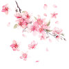 Car cherry blossom car sticker personality Creative car door cover scratch sticker bumper light eyebrow decorative supplies sticker