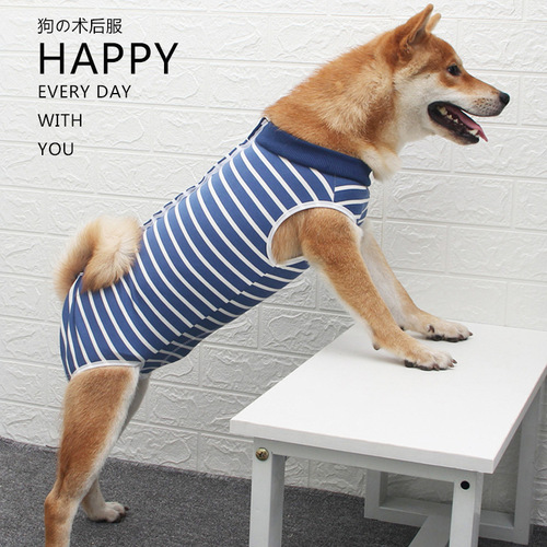 Cross-border pet sterilization clothing surgical clothing striped dog weaning summer postoperative recovery four-foot care clothing