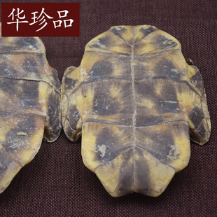 ����������ֻ 500�ˮa���㽭��ș�����lҎ���Rһվʽُȫ���l