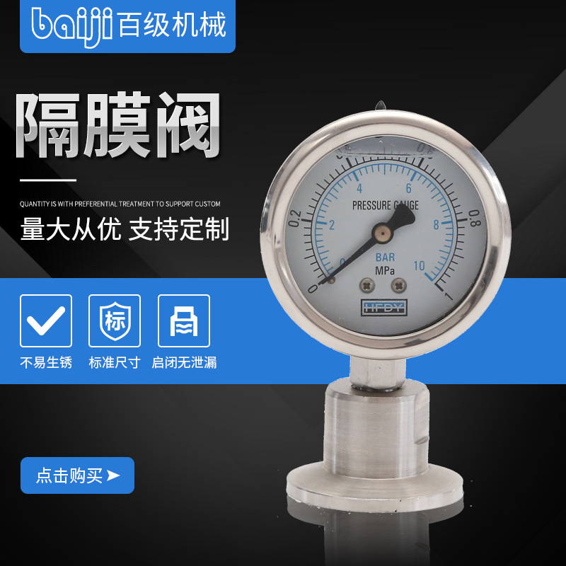 厂家现货YTP100BF法兰连接不锈钢隔膜压力表