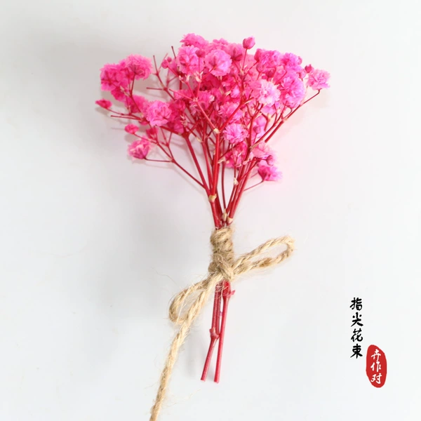Full Sky Rose Red