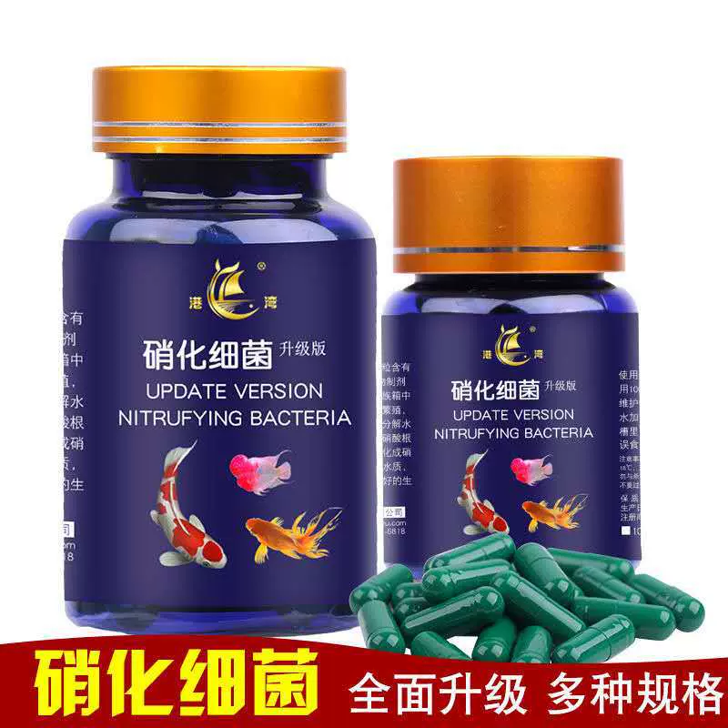 港湾硝化细菌胶囊 鱼用硝化细菌干粉 水族鱼缸净水剂硝化细菌鱼用