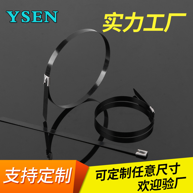厂家供应包塑304不锈钢扎带8*200mm浸塑耐酸碱船用金属扎带白钢带