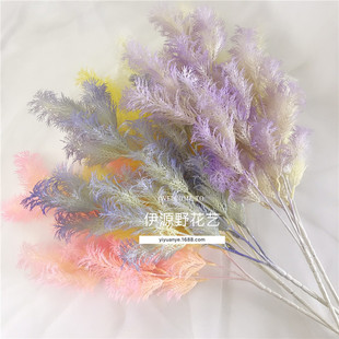 ؃r FڡFl c쾰ϻLUPβ Y