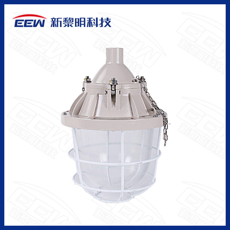 新黎明高效节能LED灯防爆照明灯加油站防爆路灯BCD-250隔爆节能灯