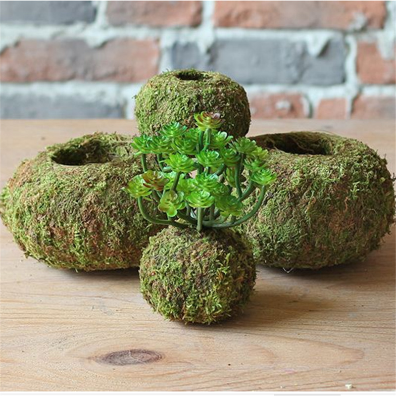 Japanese Style Moss Jade Moss Ball Moss Flower Creative Dendrobium Planting Basin Gardening Potted Home Moss Flower Pot