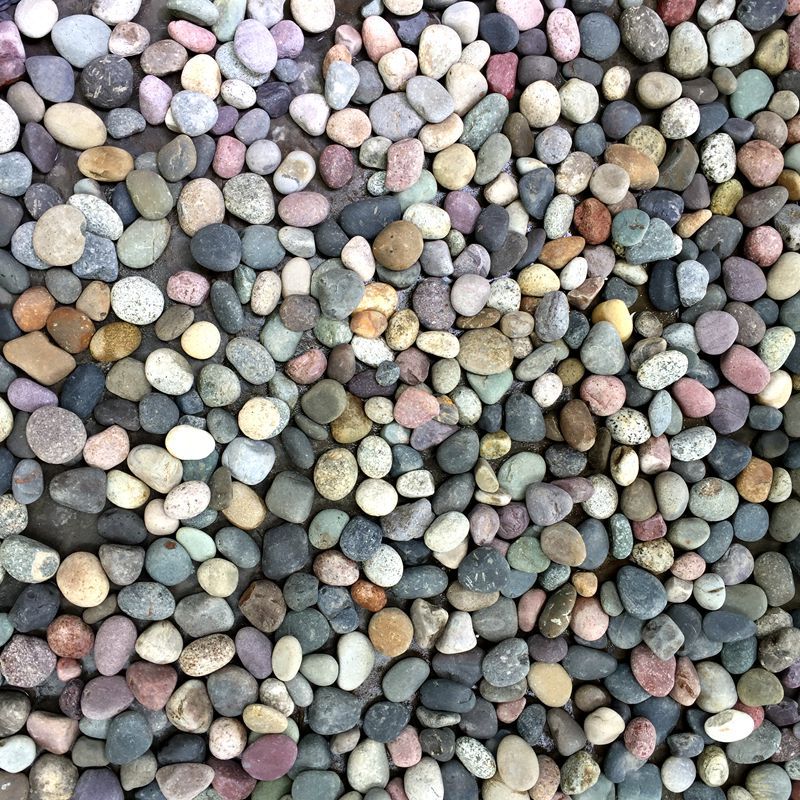 厂家现货鹅卵石铺路园林景观造景鹅卵石雨花石变压器用鹅卵石