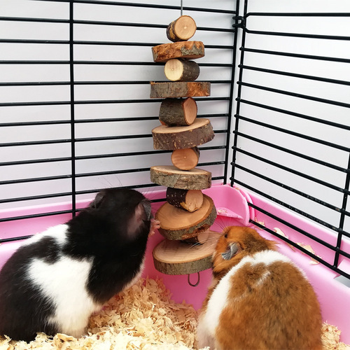 Parrot chewing skewers, apple wood chewing skewers, hamster chewing toys, chinchilla log molar skewers, rabbit supplies