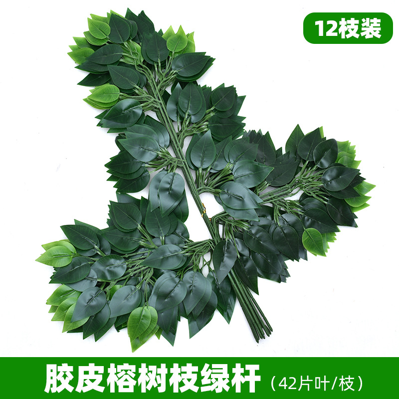 접착제 녹색 막대 반얀 가지