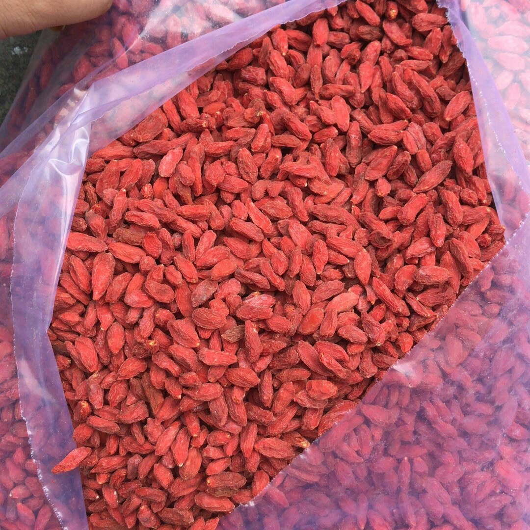 枸杞 精选宁夏大颗粒500g良心卖家  味甜干爽枸杞批发2024年新货