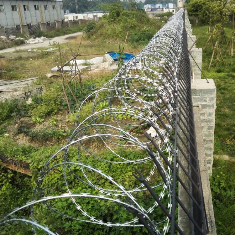 厂价直供公共区域围墙围栏防盗刀刺网热镀锌防盗网防护网