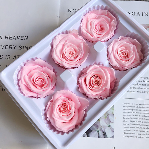 Magic flower immortal flower B grade 5-6 rose flower material unicorn dried flower wholesale glass cover diy rose bear material
