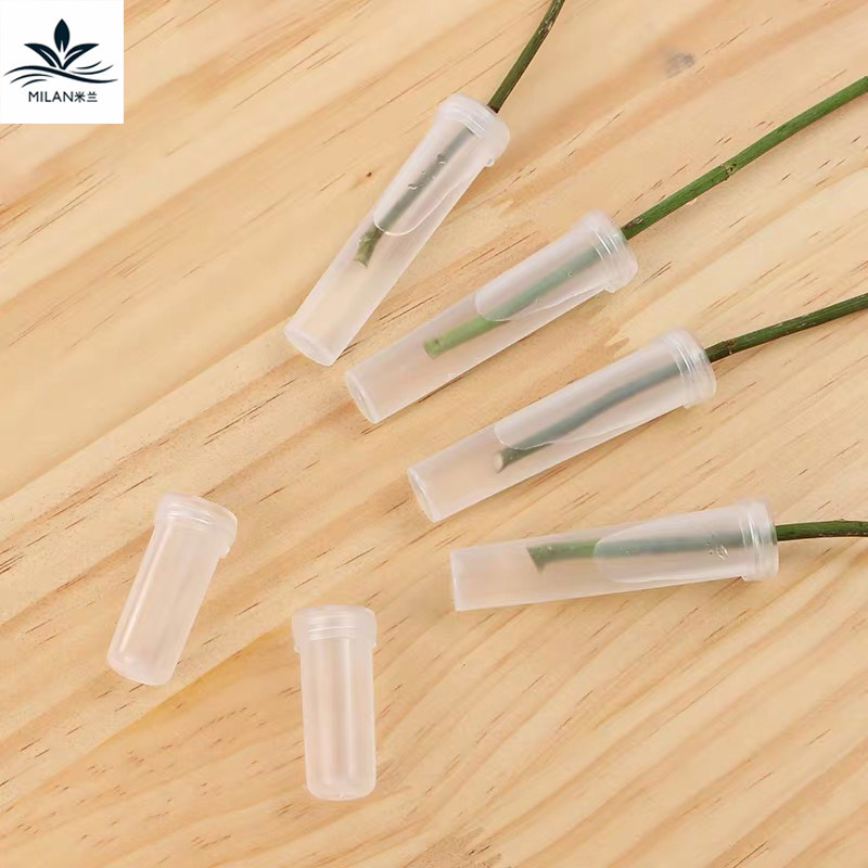 Fresh Flower Preservation Nutrition tube orchid tube culture tube flower Transportation water storage tube floral tool material nutrition tube