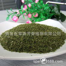 ̓r|~W۸~ W~l  ƻֱN