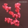 Begonia red