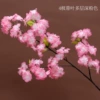Dark pink