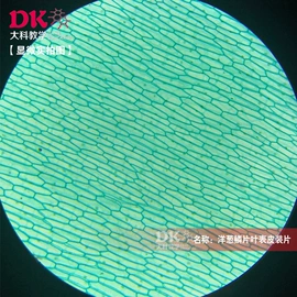 生物教学器材;教学仪器;实验室仪器