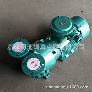2BV直连防爆水环式真空泵2BV5110/2BV5111/2BV5121/2BV5131/2BV等