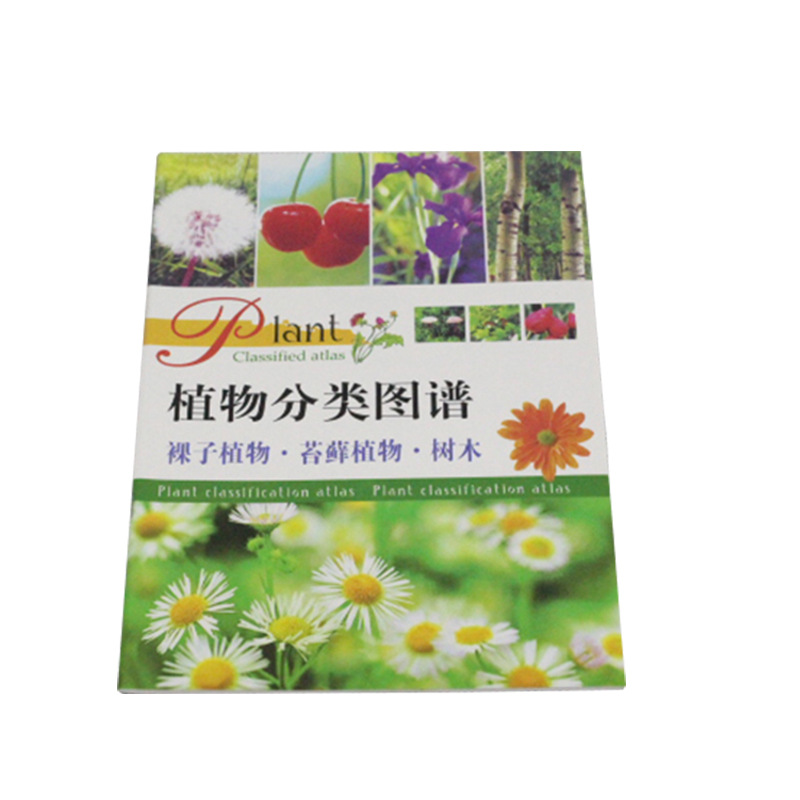 植物分类图谱小学科学教学指导材料实验器材示教模板批发