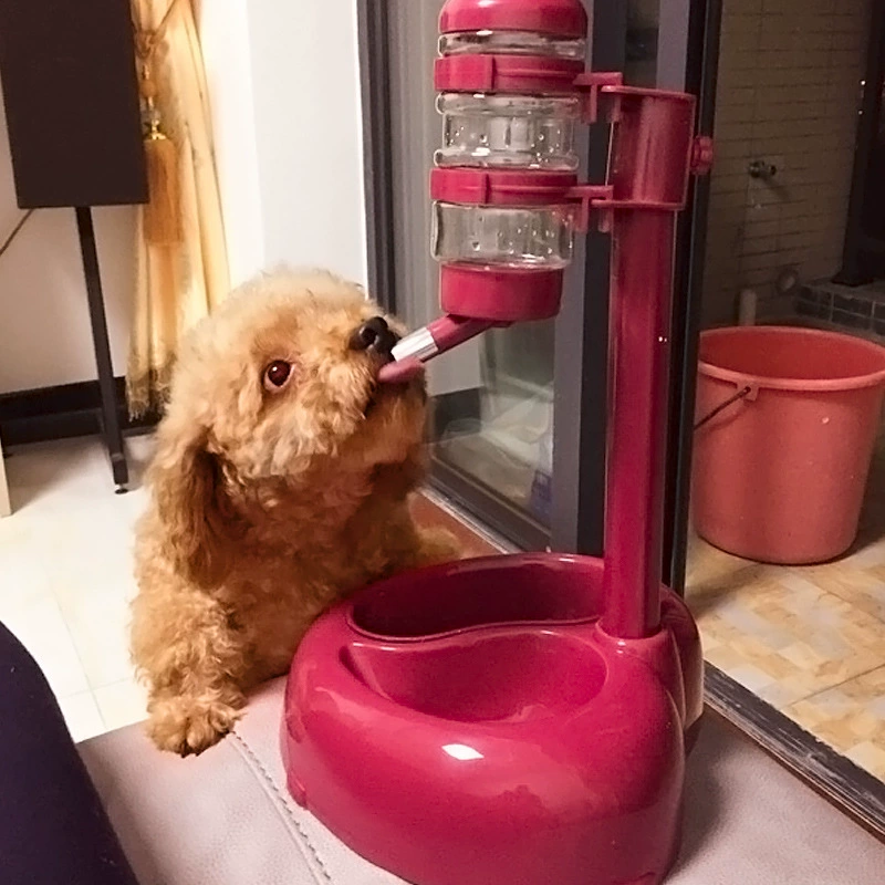 Dog drinking water heater Pet automatic drinking machine hanging water drinking water drinker teddy cat feed water bowl dog dog kettle