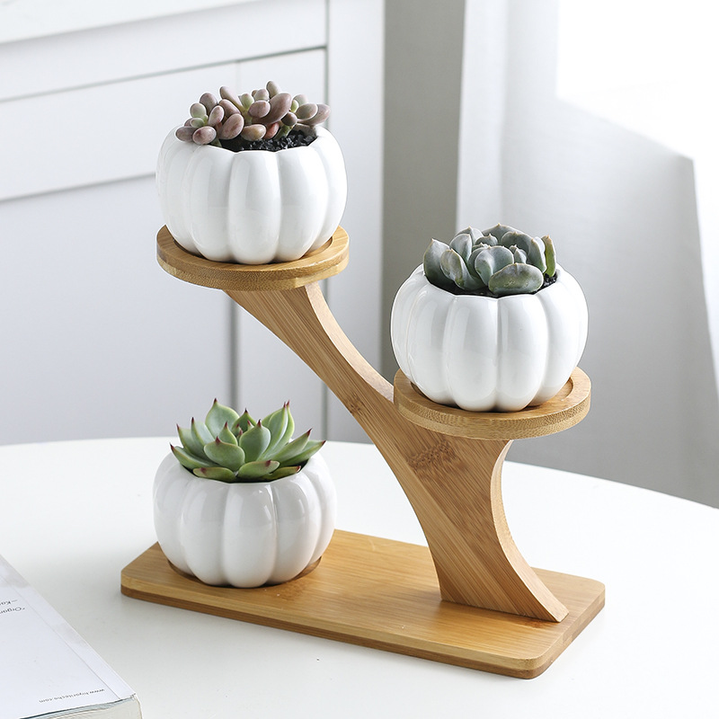 Maceta combinada de cerámica para suculentas, diseño calabaza pequeña con soporte de bambú – estilo Zakka.