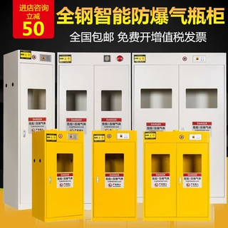 南京气瓶柜安全柜乙炔全钢气瓶柜实验室防爆双瓶带报警气体储存柜
