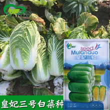 ̖ײ˷N rˈ@NS۰ײ߲˷N