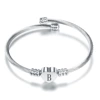 Steel color B