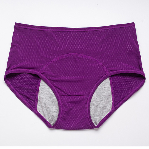 Foreign trade cross-border large size 10 mesh breathable menstrual period leak-proof menstrual pants mid-high waist women's underwear 9044
