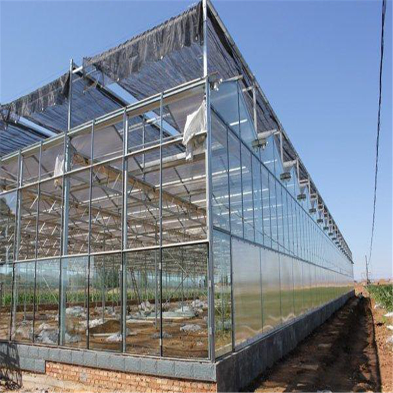 玻璃温室大棚工程连栋薄膜温室工程温室温室大棚智能温室大棚
