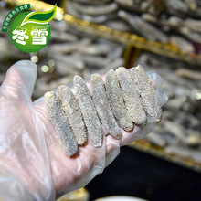 ����ɳ�d������؛ֱ��������؛����ʳ��һ�����l�Ԍ�؛Դ�\�д���