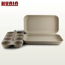 纸浆模塑;其他纸类包装;纸盒