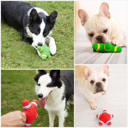 Yite Pet Products Latex Starfish Lifebuoy Sound Series Puppy Teddy Medium and Large Dog Toys Wholesale